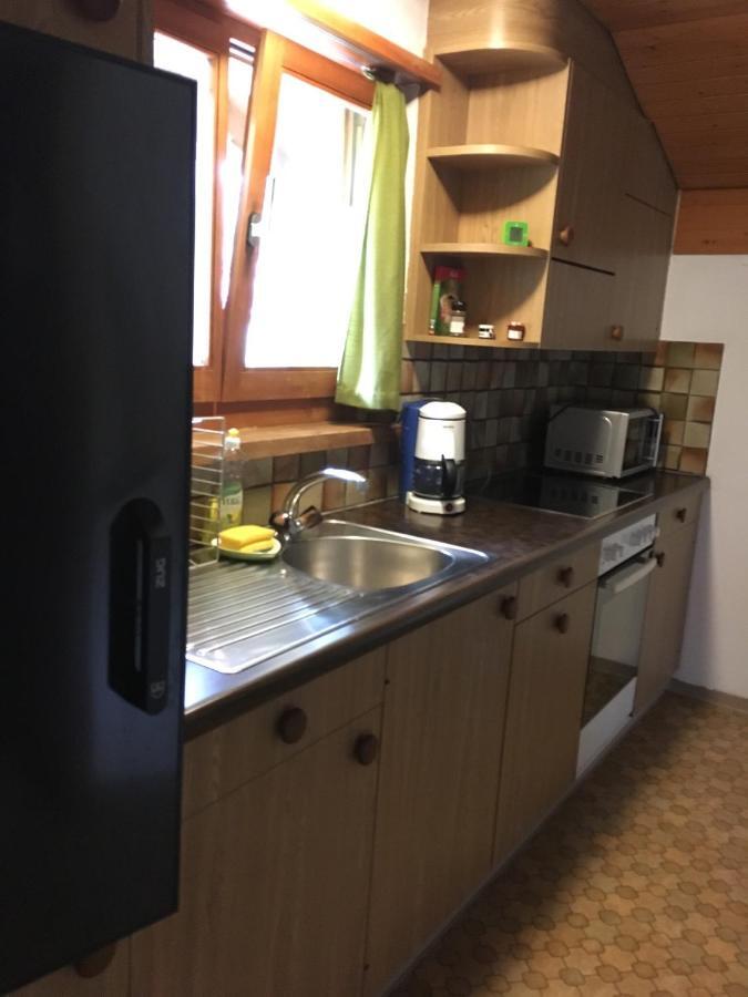 Stapfenweg 5 Kehrlis Apartment Innertkirchen Luaran gambar